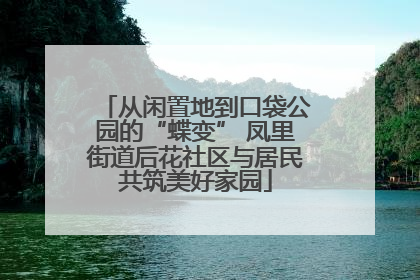 从闲置地到口袋公园的“蝶变” 凤里街道后花社区与居民共筑美好家园